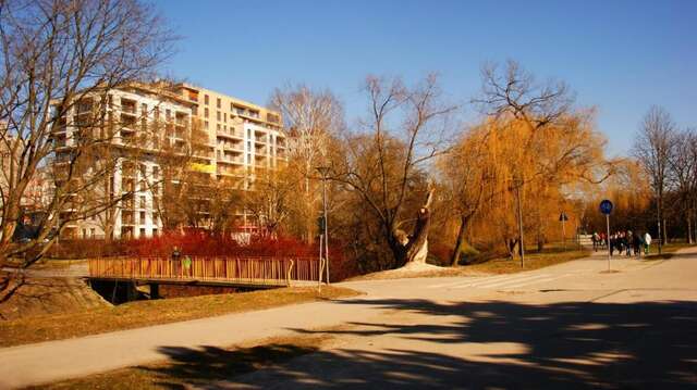 Апартаменты Apartament Parkowy Кельце-24